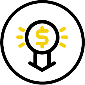 Affordable Pricing​